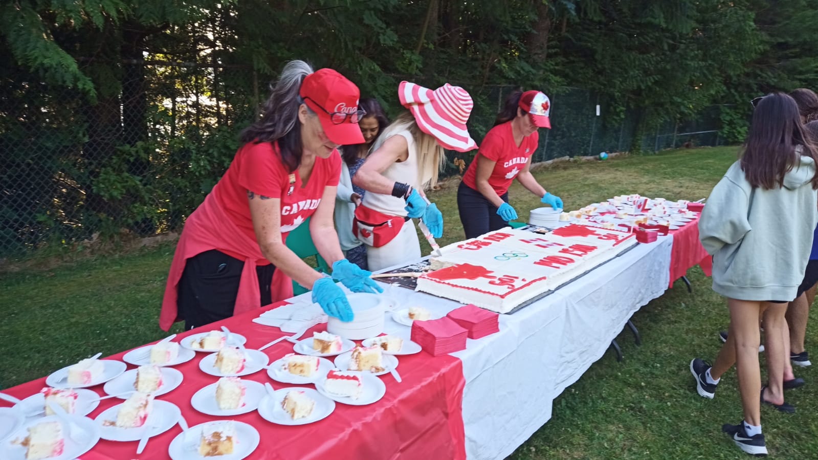 Cake Cutting